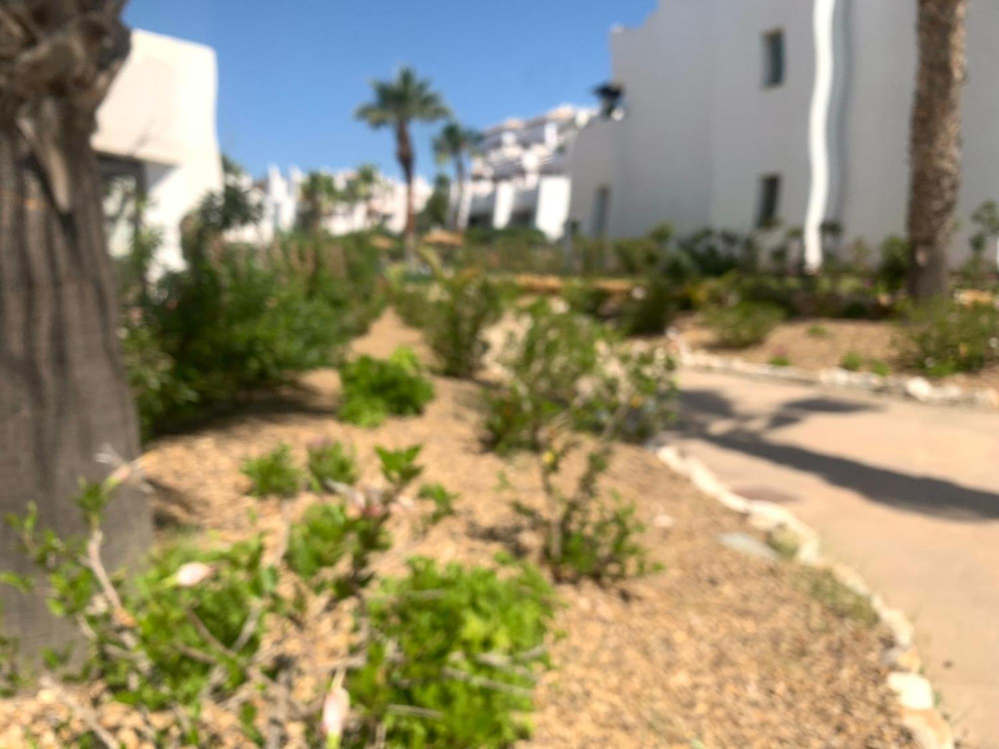 Apartamento Las Salinas 1389 Vera Exteriér fotografie